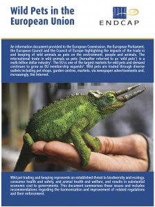 Report - Wild Pets in the European Union