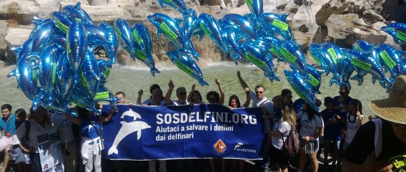 Flashmob LAV Fontana di Trevi