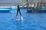 Spain - Oceanografico, Spain. Credit WDC