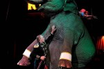 Circus elephant (Photo: Dirkjan Ranzijn)