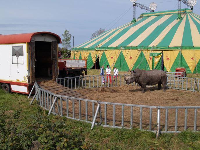 Animals in circuses » ENDCAP