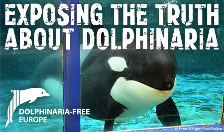 Dolphinaria-Free Europe: Exposing the truth about dolphinaria (Photo: Free Morgan Foundation)