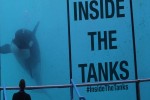 Inside The Tanks